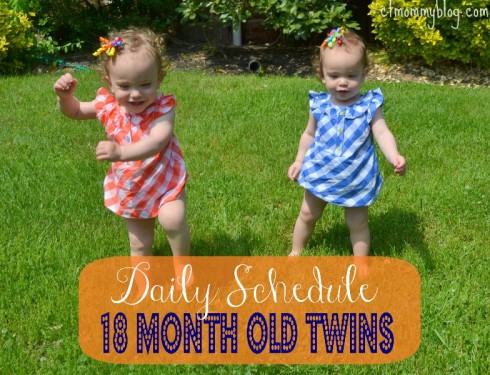 18 Month Old Twins