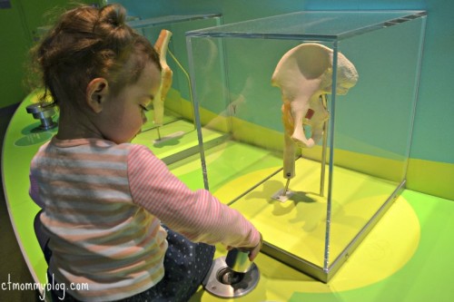 CT Science Center Hands-on Exhibits