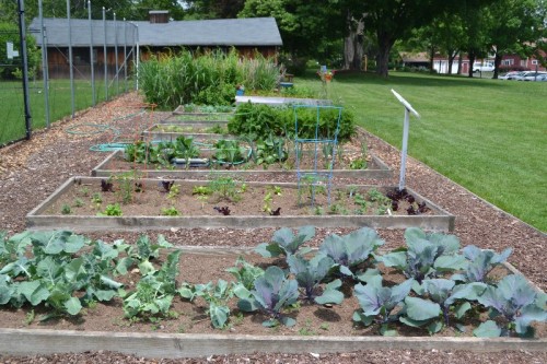 West Hartford Community Gardens