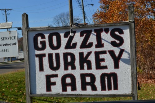 CT Turkey Farm