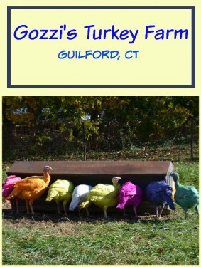 Things to do in CT: Gozzi's Turkey Farm in Guilford, CT