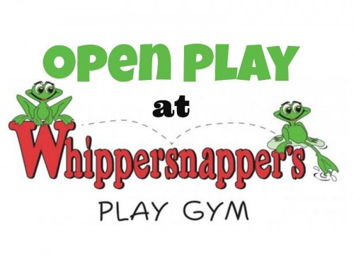 Whippersnapper's Play Gym