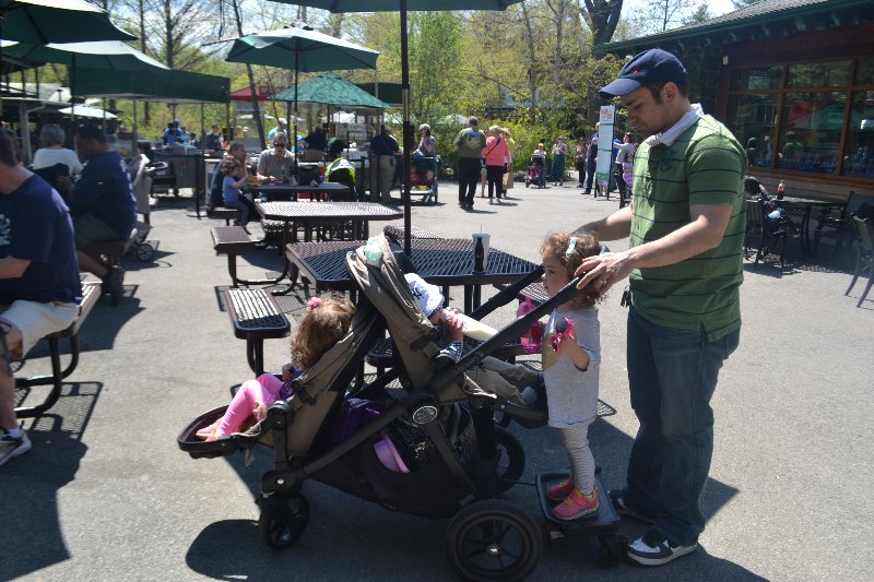 Day Trip to the Bronx Zoo | CT Mommy Blog
