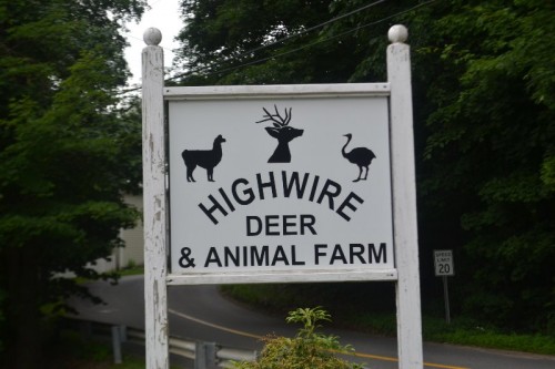 Highwire Farm Woodbury CT