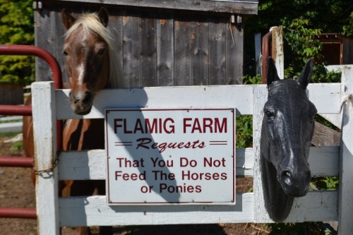 Flamig Farm West Simsbury CT