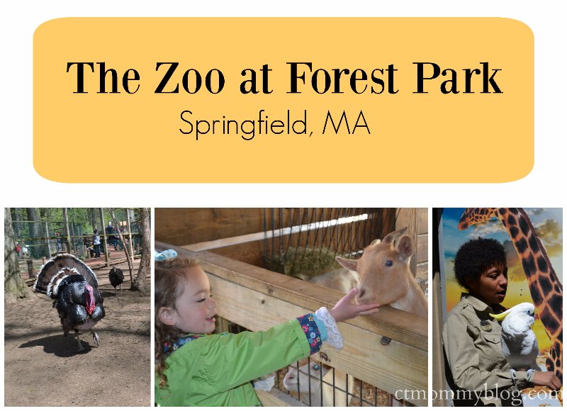 The Zoo in Forest Park in Springfield, MA CT Mommy Blog
