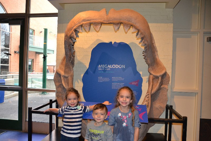 The Maritime Aquarium in Norwalk, CT CT Mommy Blog
